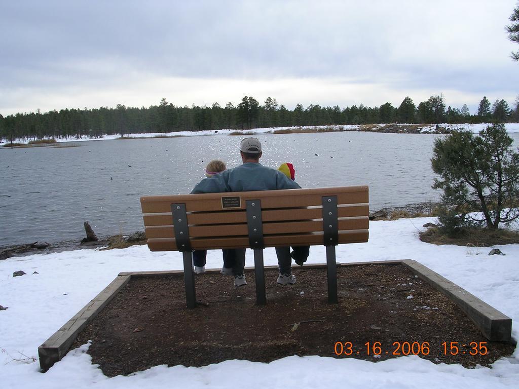 Adair Springs Cabin Pinetop-Lakeside Eksteriør billede