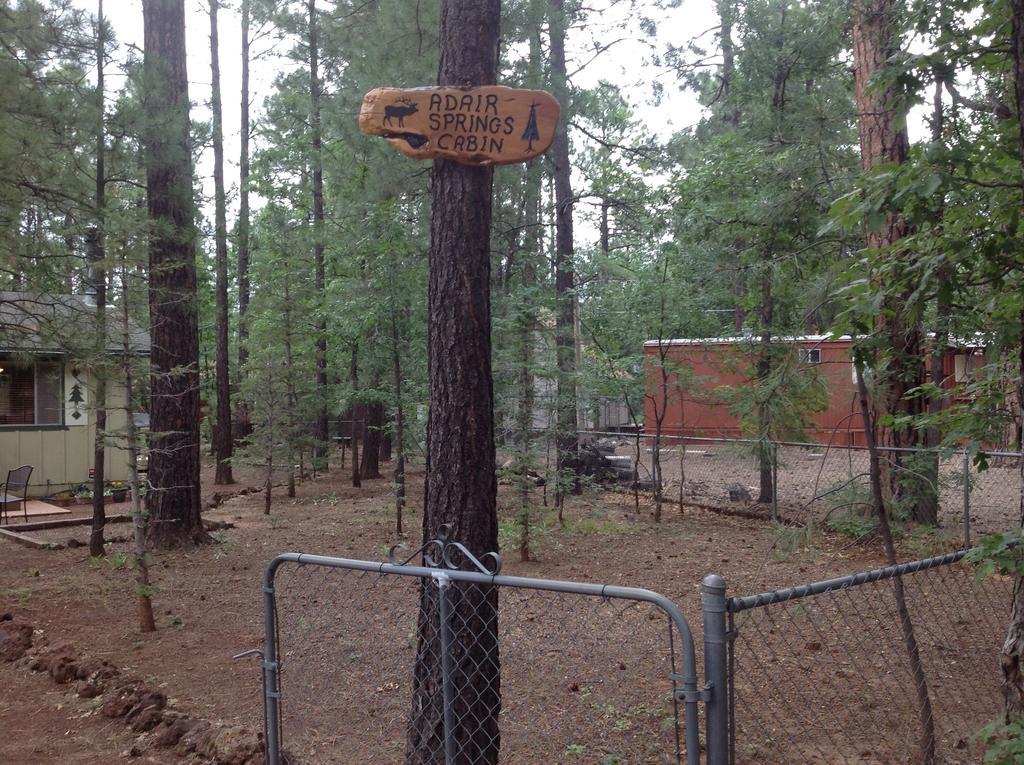 Adair Springs Cabin Pinetop-Lakeside Eksteriør billede