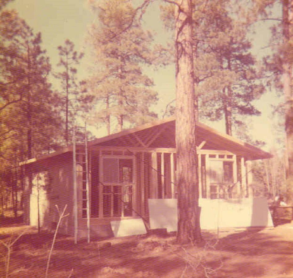 Adair Springs Cabin Pinetop-Lakeside Eksteriør billede